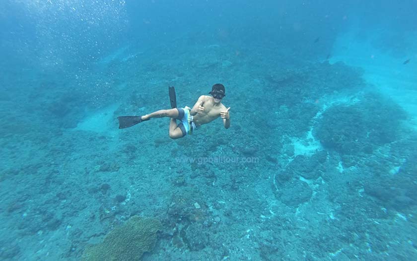 Bali Snorkeling Trips